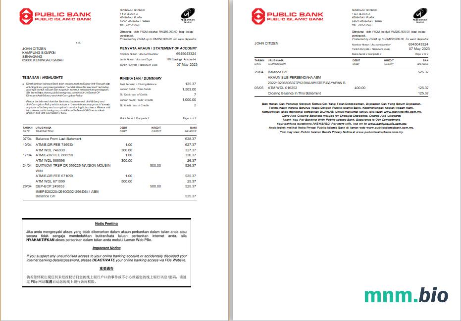 Wyciąg z publicznego banku Malezji łatwy do wypełnienia szablon w formacie Excel i PDF
